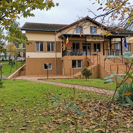 Vila Zuela Buzias Exterior photo